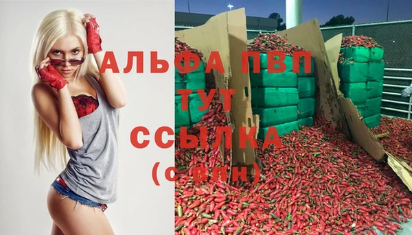 мяу мяу кристалл Богданович