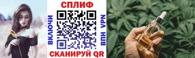 закладки  Дубовка  Канабис сатива 